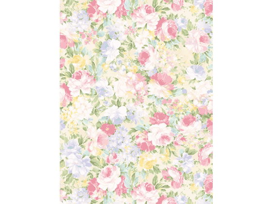 タカ印 包装紙 楽園 半才判(528×750mm) 50枚 49-1507 1束（ご注文単位1束)【直送品】