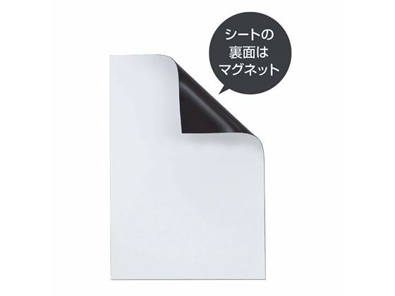 マグエックス マグネットカラーシート(大) 白 10枚 MSCW-08W 1パック(ご注文単位1パック)【直送品】