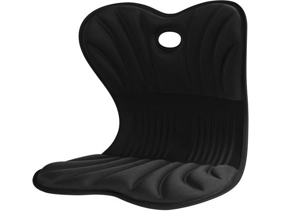 トレードワン 美姿勢サポートチェア スワンルボーテ ブラック 60167 1個(ご注文単位1個)【直送品】