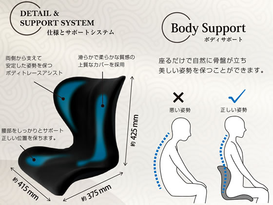 トレードワン SWANRU ボディサポートシート ハイエンド ブラック 60135 1個(ご注文単位1個)【直送品】