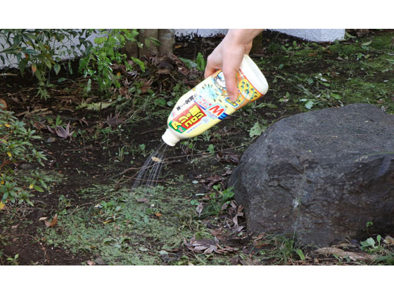 アース製薬 アリの巣コロリ シャワータイプ 500ml 1個（ご注文単位1個)【直送品】