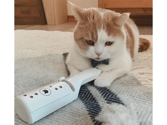 猫壱 抜け毛取りワイパー 1個(ご注文単位1個)【直送品】