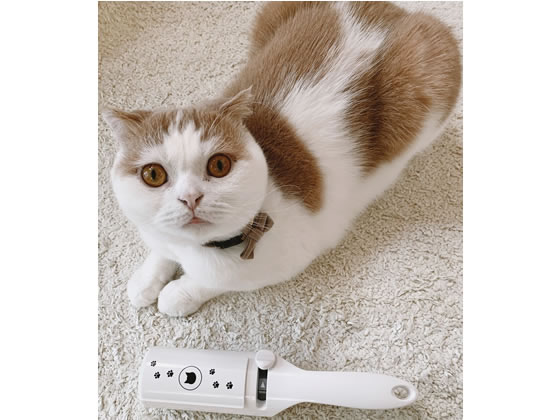 猫壱 抜け毛取りワイパー 1個(ご注文単位1個)【直送品】