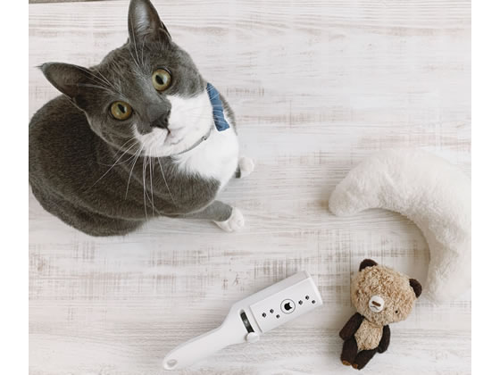 猫壱 抜け毛取りワイパー 1個(ご注文単位1個)【直送品】