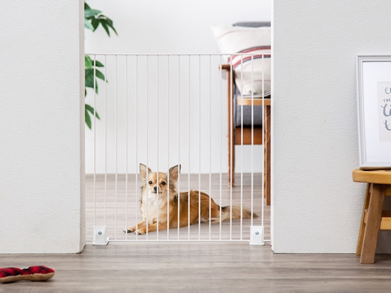 アイリスオーヤマ ペットフェンス マットホワイト P-SPF-66 1台（ご注文単位1台)【直送品】