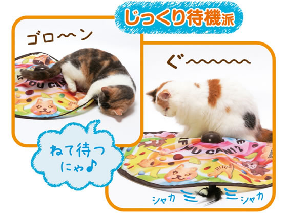 猫壱 キャッチ・ミー・イフ・ユー・キャン2 1個(ご注文単位1個)【直送品】