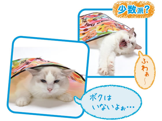 猫壱 キャッチ・ミー・イフ・ユー・キャン2 1個(ご注文単位1個)【直送品】