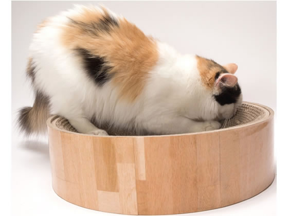 猫壱 バリバリボウル猫柄 1個(ご注文単位1個)【直送品】