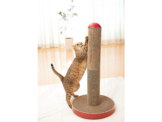 エイムクリエイツ ガリガリポール スクラッチャー 1セット(ご注文単位1セット)【直送品】