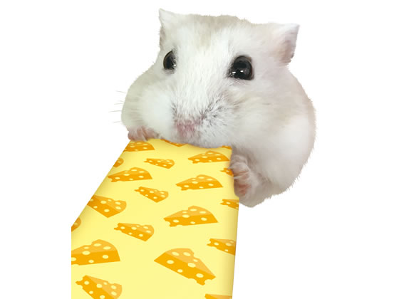 マルカン はむはむぴゅーれチーズ風味 MR-846 1パック(ご注文単位1パック)【直送品】