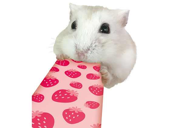 マルカン はむはむぴゅーれイチゴ風味 MR-845 1パック(ご注文単位1パック)【直送品】