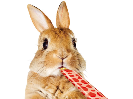 マルカン うさうさぴゅーれりんご ML-187 1パック(ご注文単位1パック)【直送品】