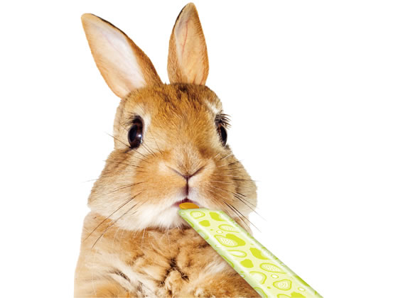 マルカン うさうさぴゅーれパパイヤ ML-188 1パック(ご注文単位1パック)【直送品】