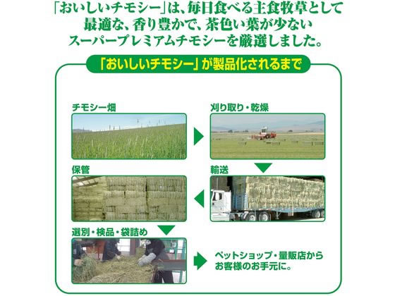 ジェックス おいしいチモシー 1.1kg 1個(ご注文単位1個)【直送品】