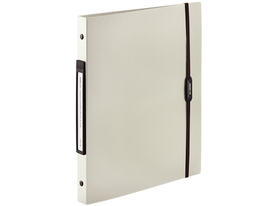 リヒトラブ SMARTFIT 2タイプポケットクリヤーブック交換式 A4 ベージュ 1冊(ご注文単位1冊)【直送品】