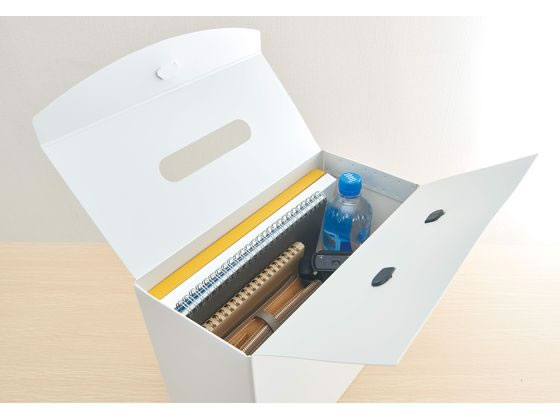 ライオン事務器 ボックスファイル テレネ BF-42T レッド 117-25 1冊(ご注文単位1冊)【直送品】