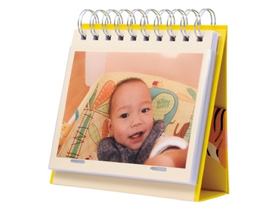 マークス コルソグラフィア フォトスタンドアルバム・アニマルこども L判 トラ 1冊(ご注文単位1冊)【直送品】