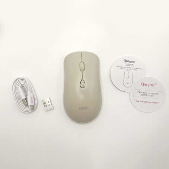 ビジネスハーモニー EGRET 充電式静音マウス SweetiE EM23-S2 1台(ご注文単位1台)【直送品】