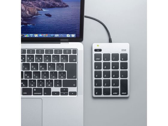 サンワサプライ USB2.0ハブ付テンキー NT-M18CUHSV 1個（ご注文単位1個）【直送品】