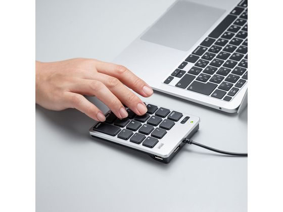 サンワサプライ USB2.0ハブ付テンキー NT-M18CUHSV 1個（ご注文単位1個）【直送品】