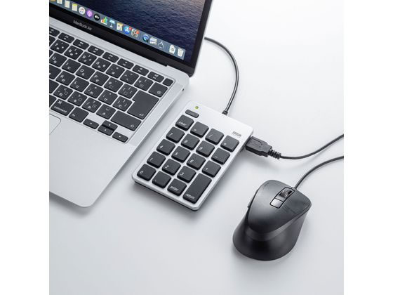 サンワサプライ USB2.0ハブ付テンキー NT-M18CUHSV 1個（ご注文単位1個）【直送品】