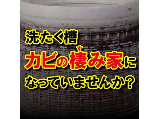 エステー 洗浄力洗たく槽クリーナー2P1100g 1パック(ご注文単位1パック)【直送品】