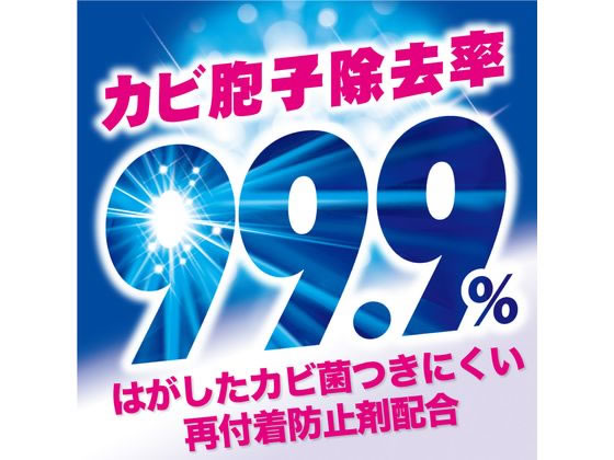 エステー 洗浄力洗たく槽クリーナー2P1100g 1パック(ご注文単位1パック)【直送品】