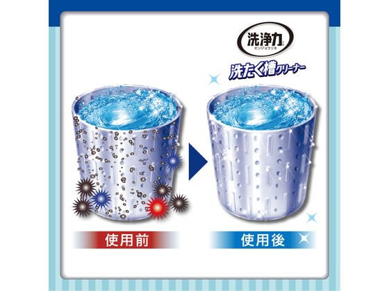 エステー 洗浄力洗たく槽クリーナー2P1100g 1パック(ご注文単位1パック)【直送品】