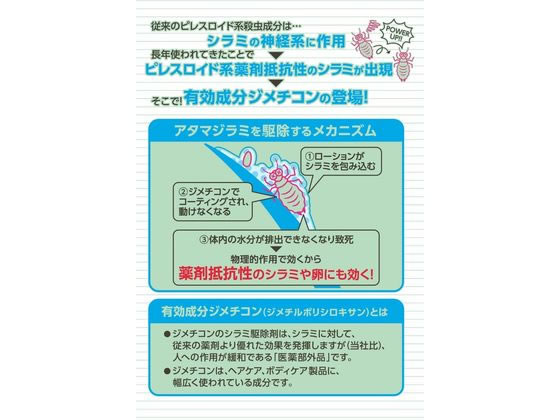 アース シラミとり ローション 150mL 1個(ご注文単位1個)【直送品】
