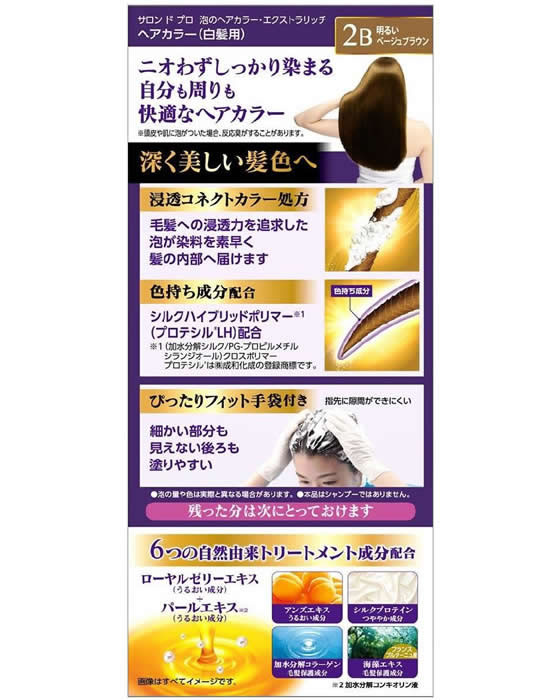 ダリヤ サロンドプロ 泡のヘアカラーEX(白髪用)2B 1個(ご注文単位1個)【直送品】