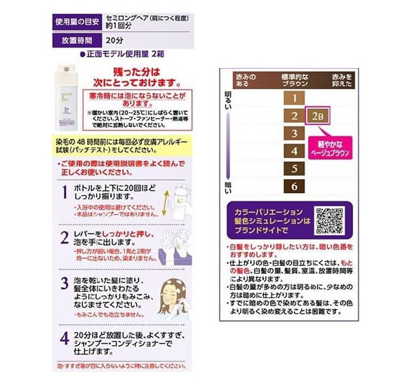 ダリヤ サロンドプロ 泡のヘアカラーEX(白髪用)2B 1個(ご注文単位1個)【直送品】