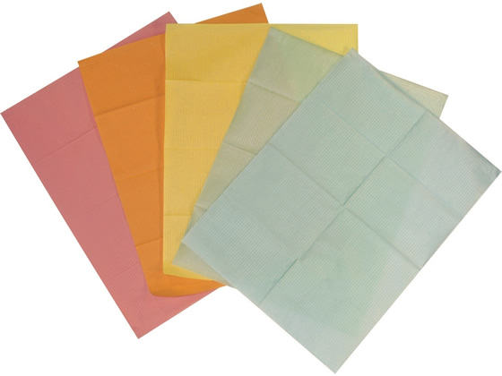 ファーストレイト デントリーフ アソート 100枚×5色 FR-231 1箱(ご注文単位1箱)【直送品】