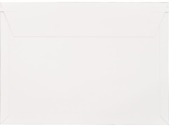 キングコーポレーション ビジネスバッグ 小 310×225mm 100枚入 1箱（ご注文単位1箱）【直送品】