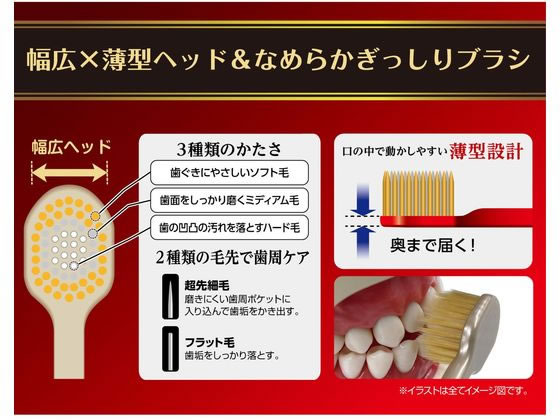 エビス ザ・プレミアムケア 8列レギュラー 特にやわらかめ B-3621SS 1本(ご注文単位1本)【直送品】