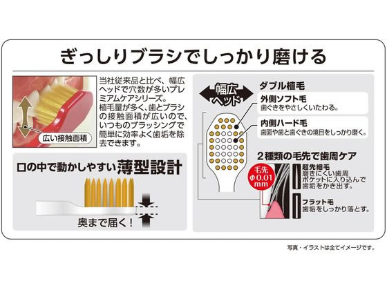 エビス プレミアムケアハブラシ 6列コンパクト やわらかめ 1本(ご注文単位1本)【直送品】