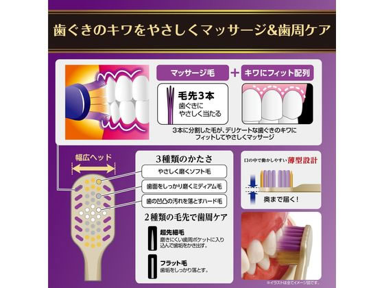 エビス ザ・プレミアムケア 歯ぐきマッサージプラス ふつう 1本(ご注文単位1本)【直送品】