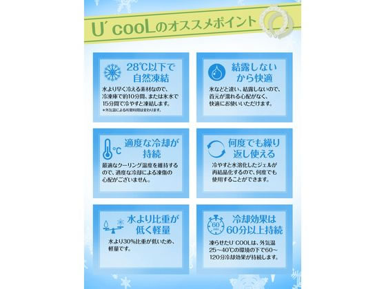 医食同源 U’cooL ふつうサイズ アイスグレー 1個(ご注文単位1個)【直送品】