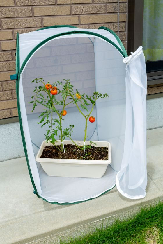 ヒラカワ 簡単設置!縦横使える防虫ネット QT-613 1個(ご注文単位1個)【直送品】