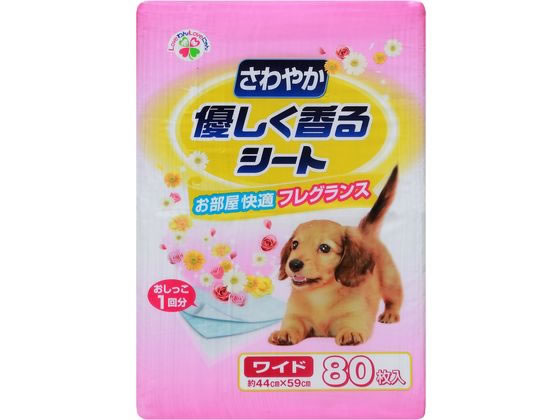 サノテック さわやか優しく香るシート ワイド 80枚 1個(ご注文単位1個)【直送品】