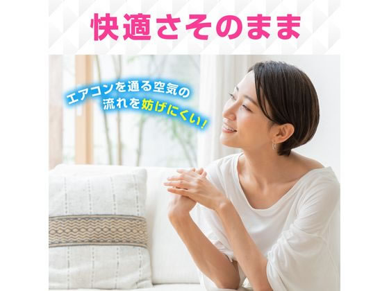 アース製薬 らくハピ エアコンのフィルター 2枚 1個(ご注文単位1個)【直送品】