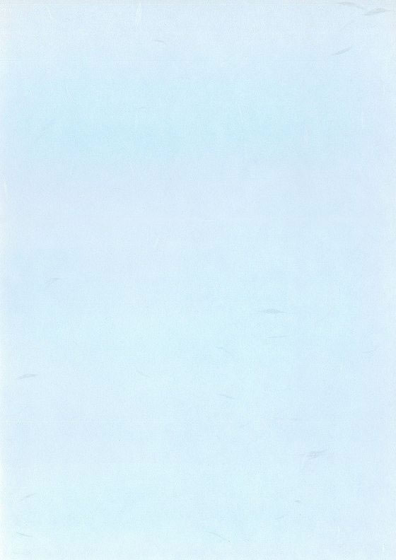 SAKAEテクニカルペーパー OA和紙 大礼紙 厚口 A4 ブルー 25枚 1パック(ご注文単位1パック)【直送品】