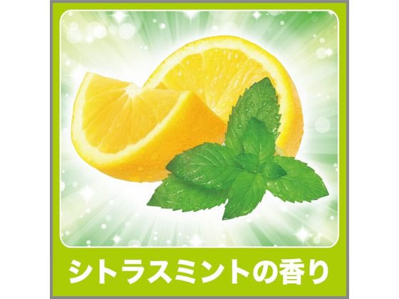 エステー 消臭力 生ゴミ用スプレー シトラスミントの香り 200mL 1個(ご注文単位1個)【直送品】