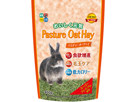 ハイペット パスチャーオーツヘイ 400g 7022 1個（ご注文単位1個）【直送品】