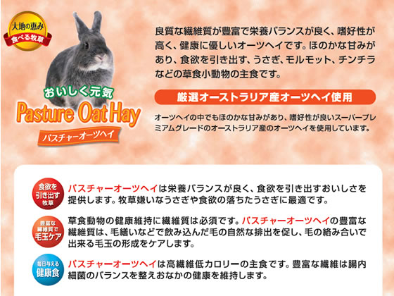 ハイペット パスチャーオーツヘイ 400g 7022 1個(ご注文単位1個)【直送品】