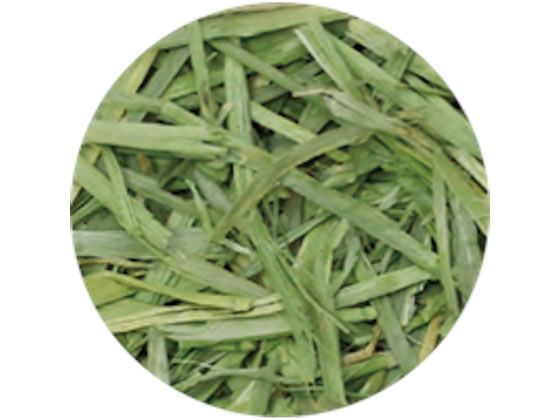 ハイペット パスチャーオーツヘイ 400g 7022 1個(ご注文単位1個)【直送品】