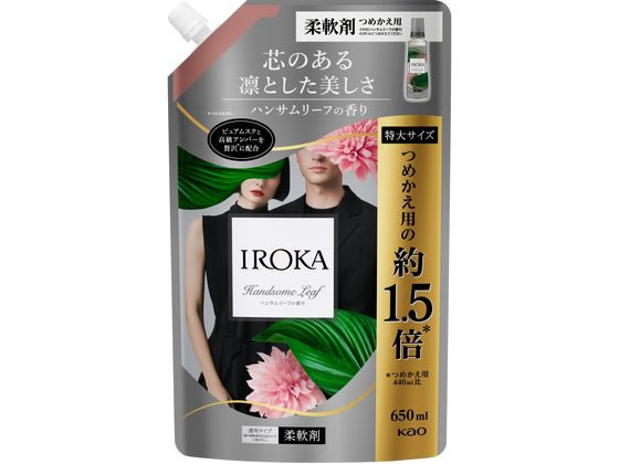 KAO IROKA ハンサムリーフ スパウト 650mL 1個(ご注文単位1個)【直送品】