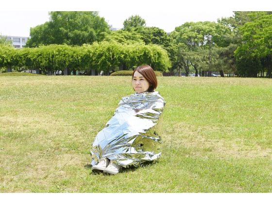 ヒラカワ ぽっかぽかアルミシート 約213×137cm QT-532 1枚(ご注文単位1枚)【直送品】