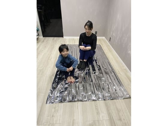 ヒラカワ ぽっかぽかアルミシート 約213×137cm QT-532 1枚(ご注文単位1枚)【直送品】