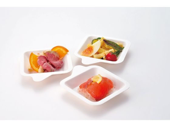 アートナップ ミニモールドプレート角 40枚 TS-83 1パック(ご注文単位1パック)【直送品】