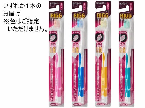 エビス リグハブラシ・ふつう 1本（ご注文単位1本）【直送品】